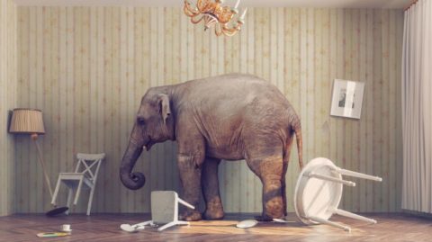 Vergleichende Analyse von Vermögensverwaltern unterschiedlicher Größe - kleine, mittlere und große - mit Hervorhebung der Vor- und Nachteile.