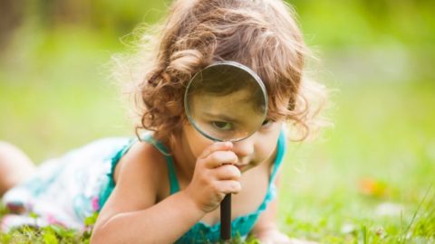 Grafische Darstellung einer Bilanz mit Schwerpunkt auf den Standards und Praktiken der Vermögensverwaltungsbranche.