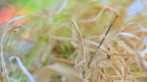 Navigieren in der Schweizer Vermögensverwaltung