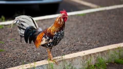 Eine Person, die früh am Morgen im Büro ankommt, symbolisiert die Vorteile eines frühen Starts für die Karriereentwicklung und die Vermögensverwaltung. Wer früh zur Arbeit kommt, kann seine Karriere deutlich verbessern