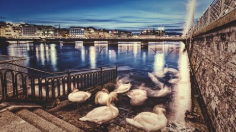 Veranstaltung des Schachgroßmeisters über strategische Züge, Belastbarkeit und anpassungsfähige Strategien für Unternehmen und Führung.