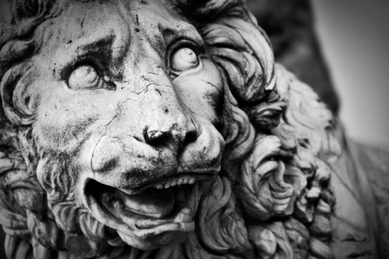 Black-and-white close-up of a sculpted stone lion, symbolizing the principles of Wealth Management vs Private Banking.