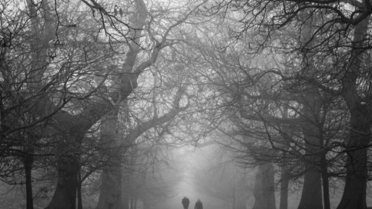 Two individuals walking on a foggy path framed by barren trees, symbolizing resilience and the journey of starting strong in January.
