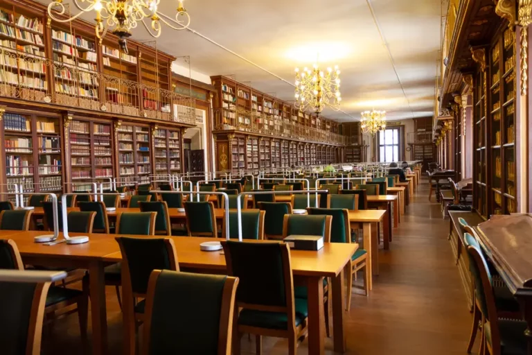A well-stocked library filled with books on Swiss banking, finance, and thrillers.