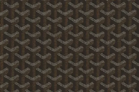 Das luxuriöse Goyard-Muster symbolisiert die Verschmelzung von Exklusivität, Markenbildung und Vermögensverwaltung durch Prominente.