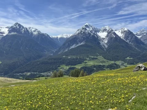 Die schneebedeckten Schweizer Alpen stehen für Stabilität und Klarheit in der Vermögensverwaltung. Unabhängige und dauerhafte Werte.