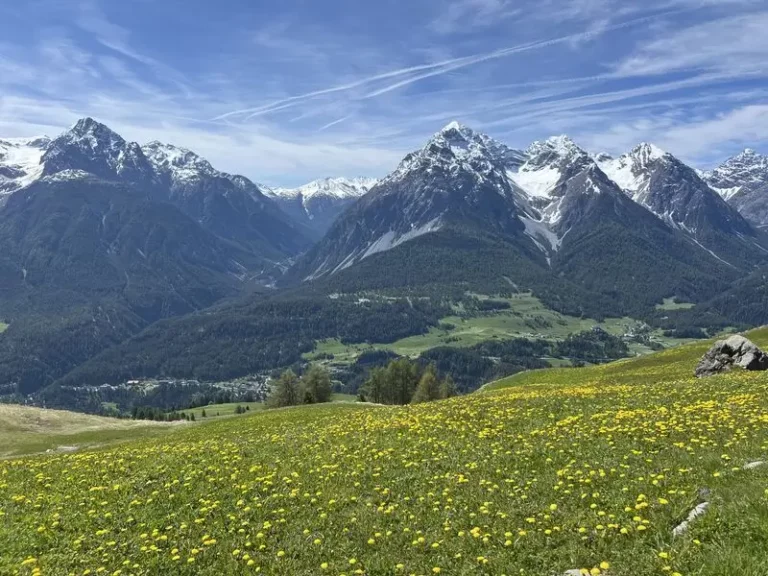Snow-covered Swiss Alps representing stability and clarity in wealth management. Independent and enduring vlaues.