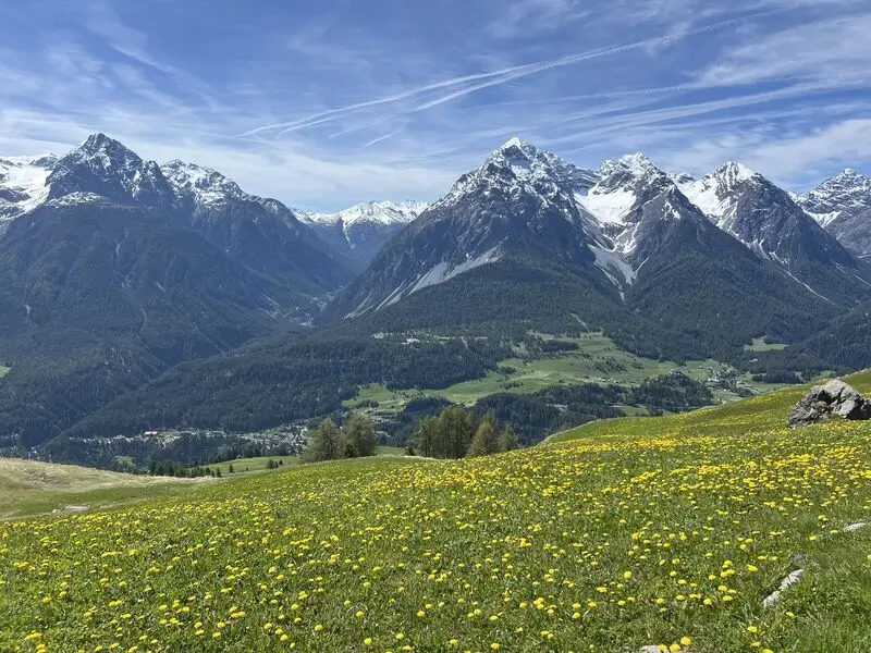 Die schneebedeckten Schweizer Alpen stehen für Stabilität und Klarheit in der Vermögensverwaltung. Unabhängige und dauerhafte Werte.